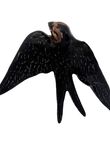 Golondrina Mediana, , medium