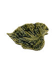 Hoja de Abedul Pequeña, Verde, medium