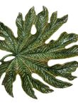 Hoja de Castaño, , medium