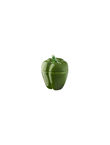 Caja Pequeña Verde, , medium
