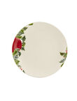 Plato Llano, , medium