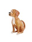 Jarra 1,2L Perro de Caza, , medium