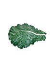 Hoja de Col Gigante, , medium