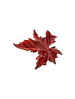 Hoja de Plátano Pequeña, Rojo, medium
