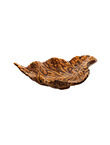 Hoja de Abedul Pequeña, Marrón, medium