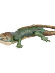 Largarto Grande Ocelado, , medium
