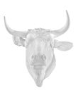 Cabeza Toro, , medium