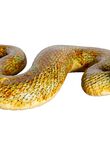 Serpiente Gigante, , medium