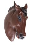 Cabeza Caballo, , medium
