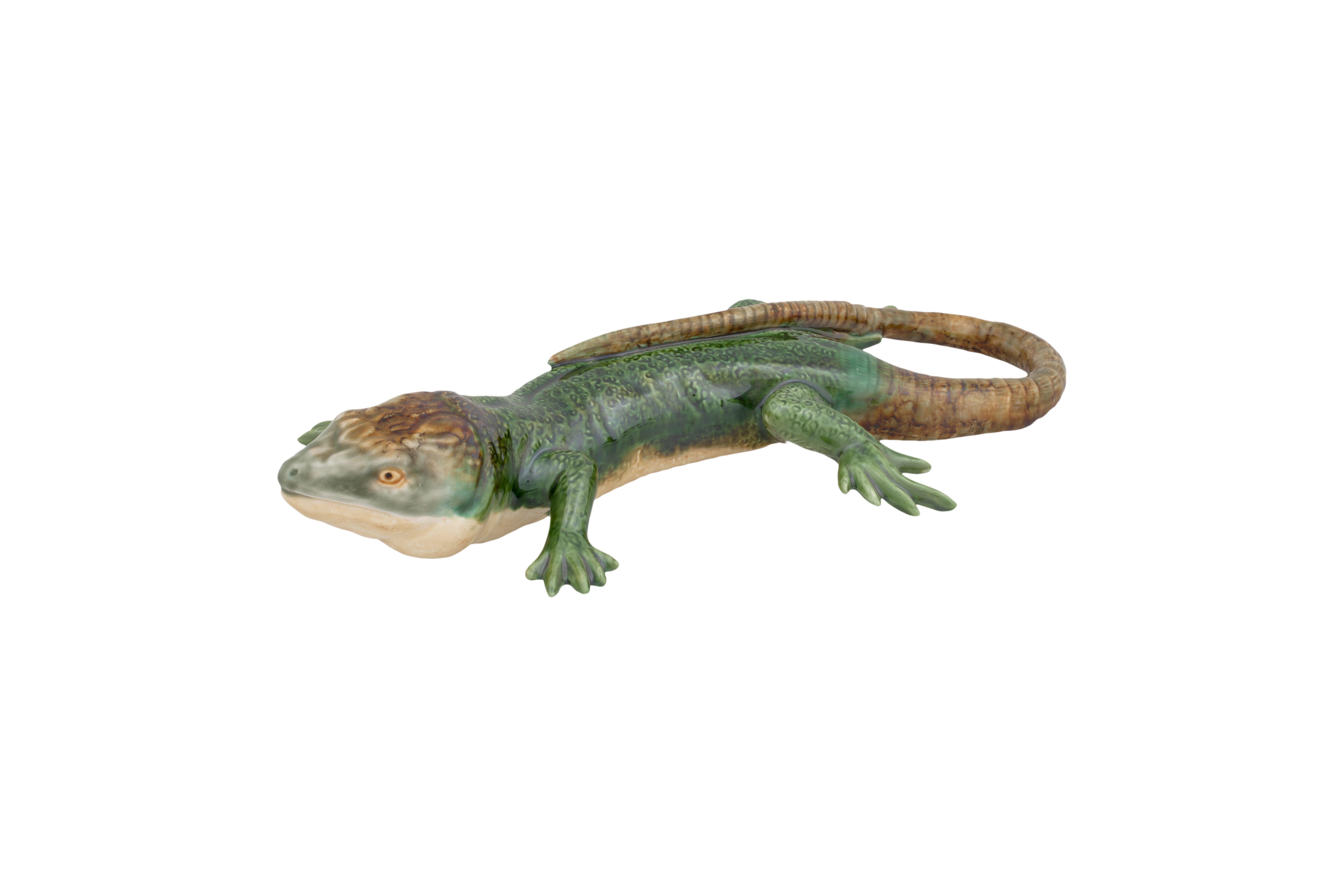 Largarto Grande Ocelado, , large image number null