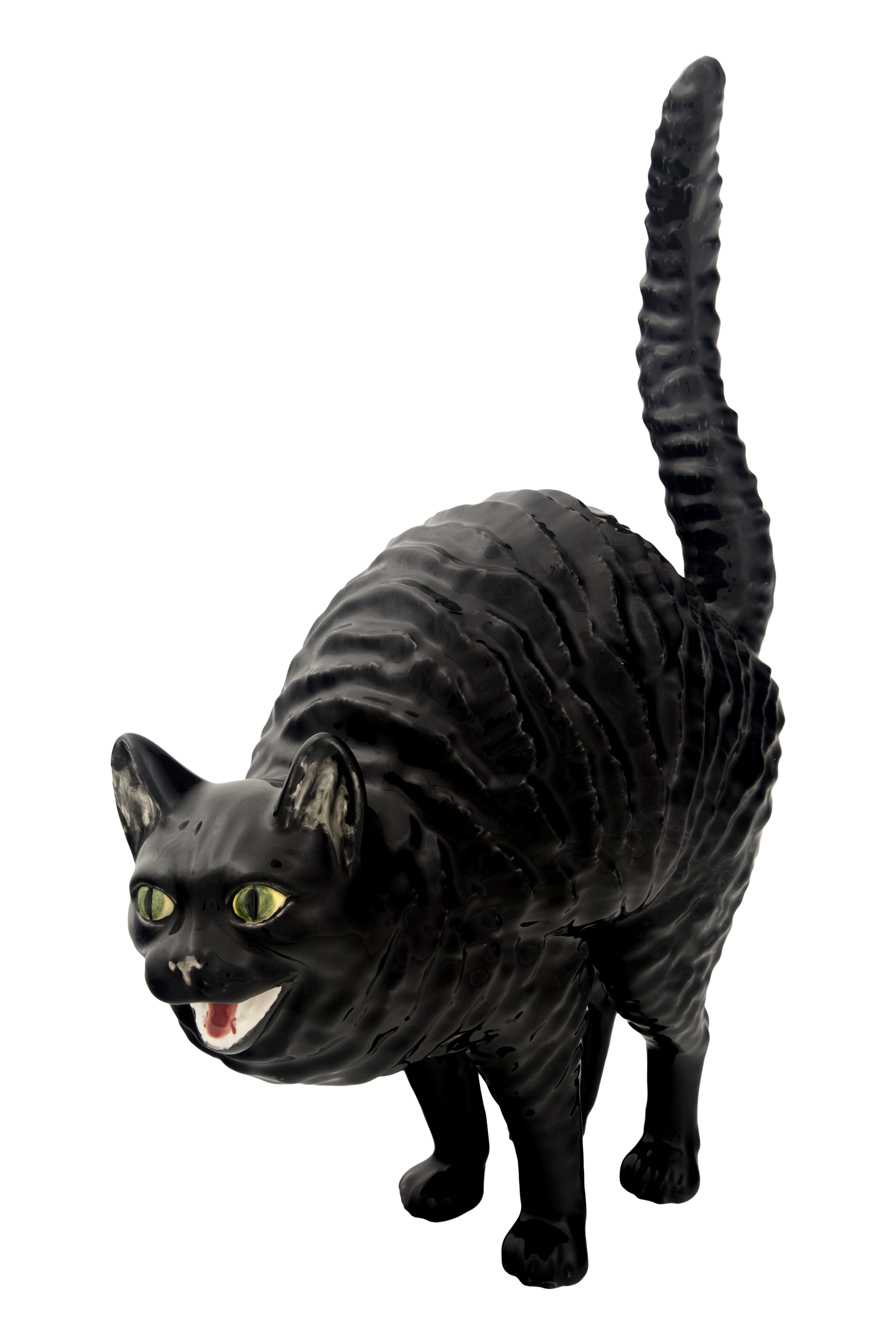 Gato que Silba, , large