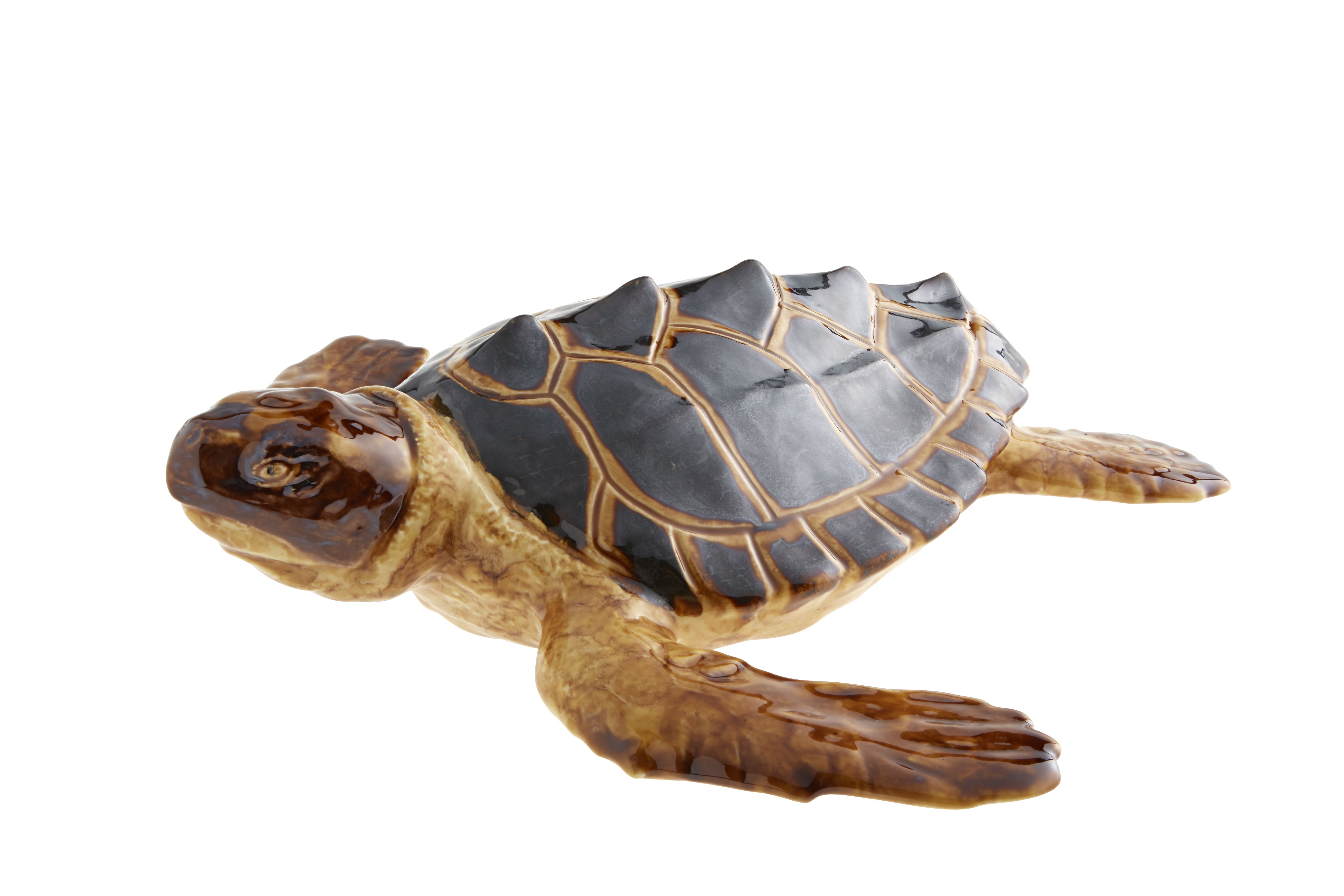 Tortuga Grande, , large