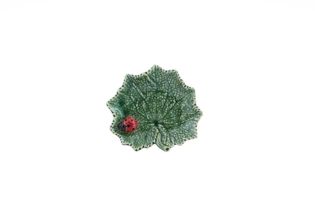 Hoja Cineraria con Mariquita