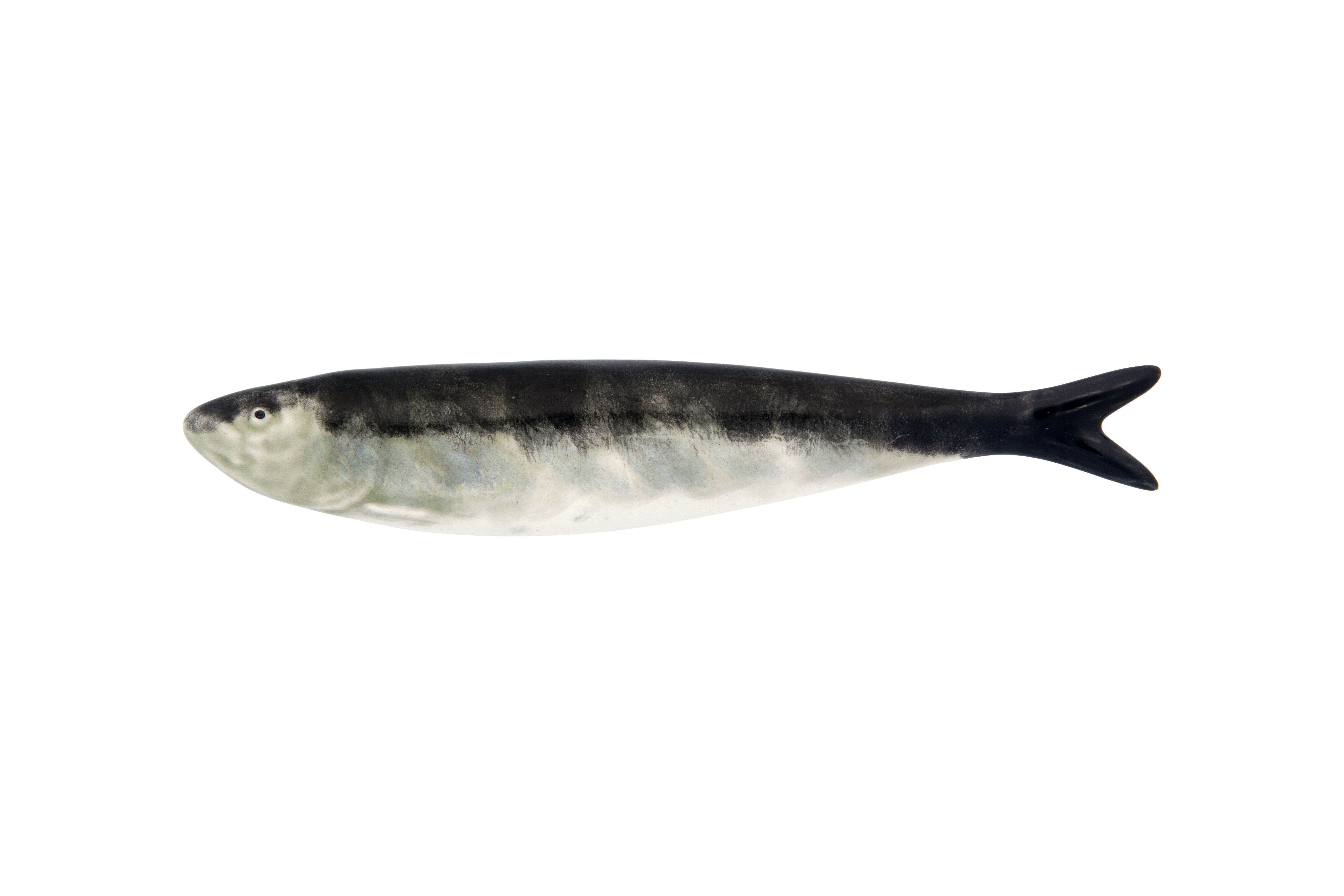 Sardina Natural, , large